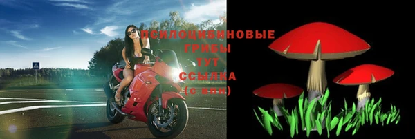 герыч Верхний Тагил