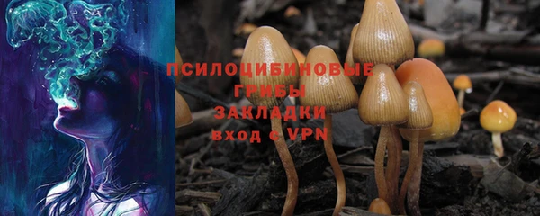 герыч Верхний Тагил